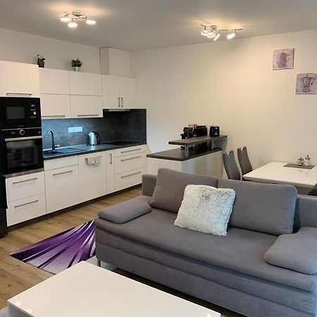 Apartman S Vyhlidkou Горни-Маршов Экстерьер фото